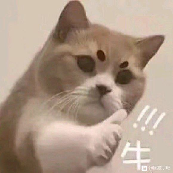MvPFUwPSMGzi96fb.jpg