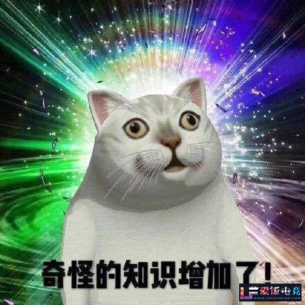 W2iTKQpteqududet.jpg