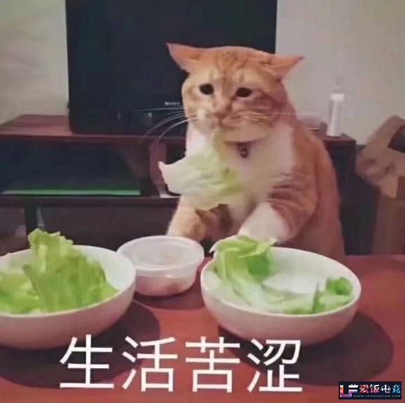 lcWC23u3QUSx0uIU.jpg