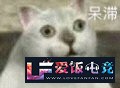 K22Rmm6763PR9PP2.jpg