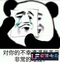 Wvwd25rDjySYO2YJ.jpg