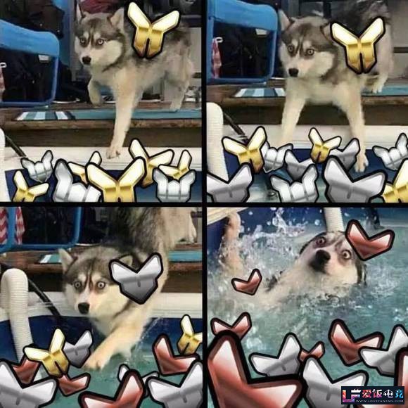 ouj3t3H9H31TtJZ4.jpg
