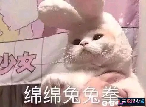 w5SdRw4l76446Z25.jpg