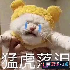 fFFD2O89ZwZAfnFj.jpg