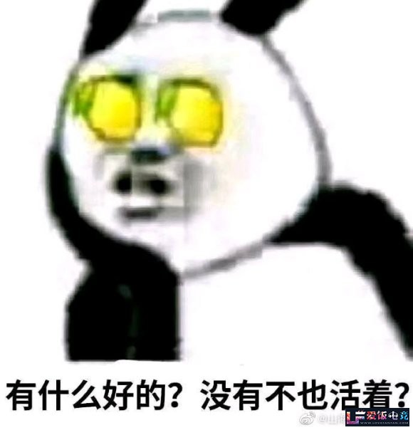 pw9F4Mz5M5Pp0344.jpg