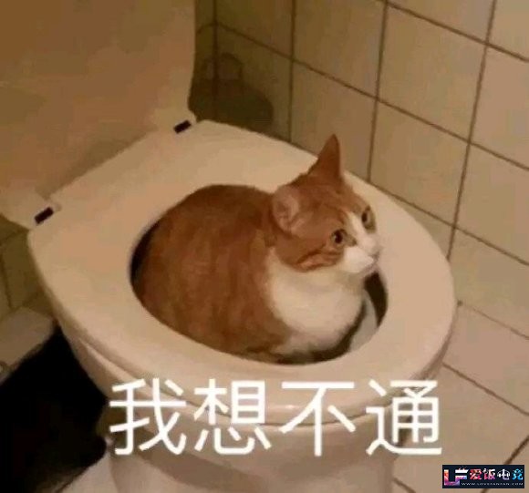 GY99G00XLLwl9prz.jpg