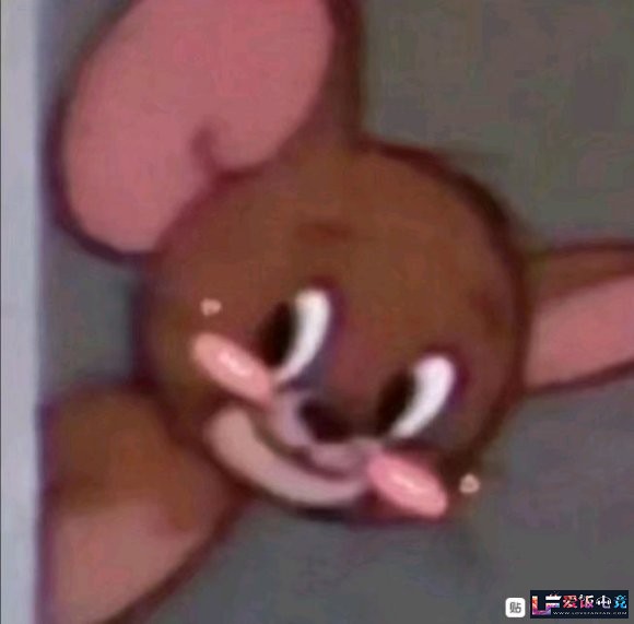 wM2Frm537b5Ur0os.jpg
