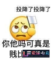 I8Q3ozLwp393V6d8.jpg