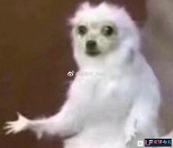 h8m89miUyEgSsdqm.jpg