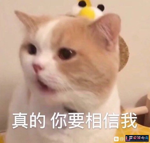 BZ827snh8JjOEqa7.jpg
