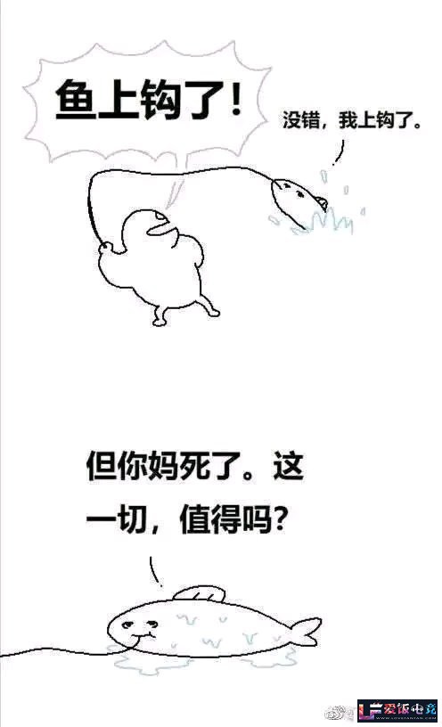 efxQ8GgG16Kk081N.jpg