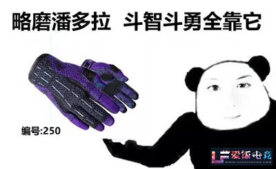 gU5166V5VJ51A28v.jpg