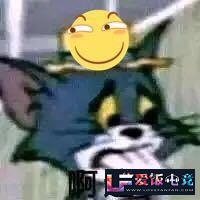 zmFl52Z98w3aZJm2.jpg