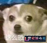 FhRXkXYmNXmRL1yy.jpg