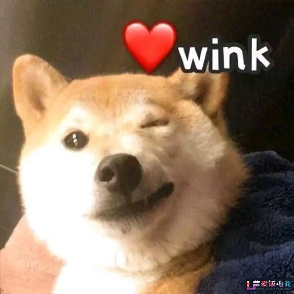 yAZ0HXwU87x7Q2AU.jpg