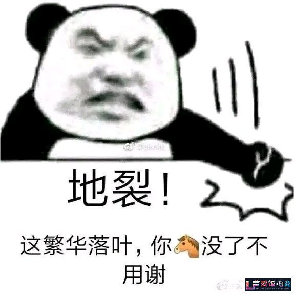 hMw1cv15R15B4Wjw.jpg