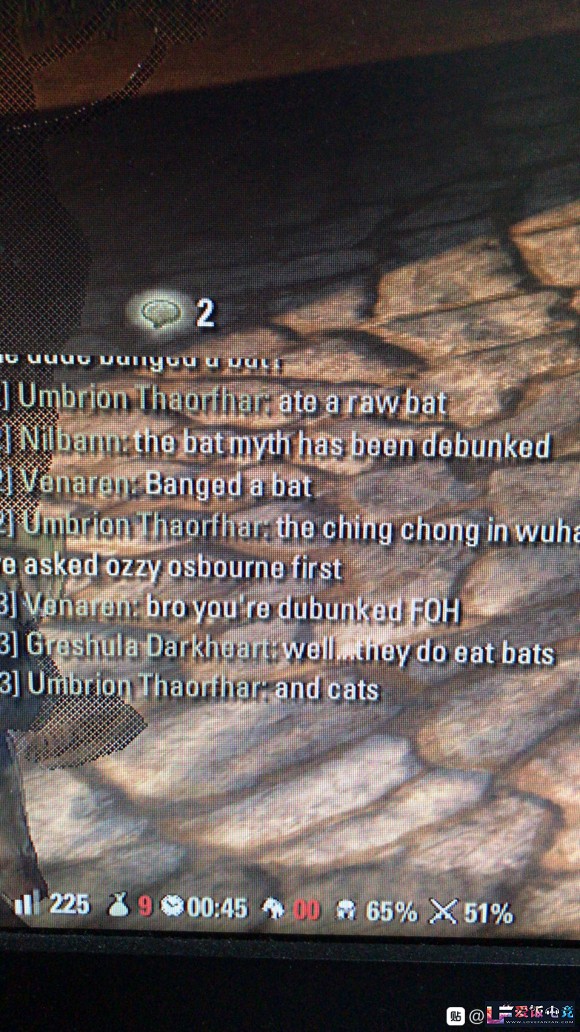 UNZNsDBBQ61Z51kn.jpg