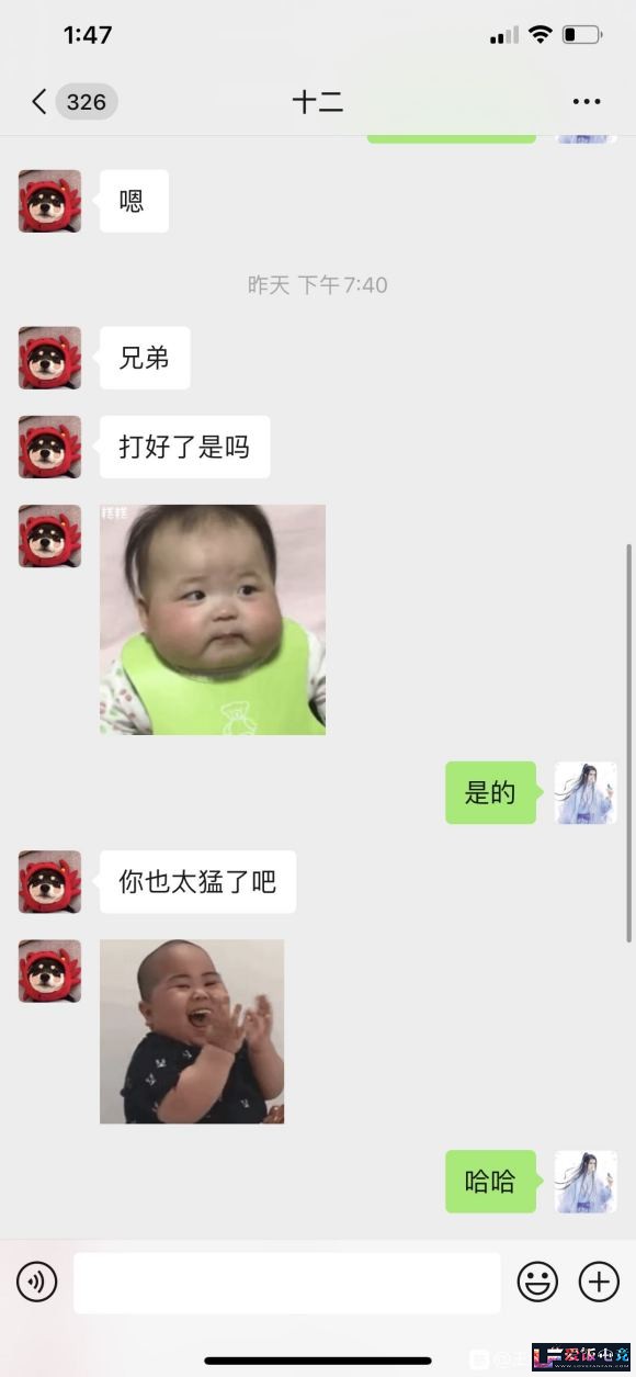 wRBl8mzL8AMsUAjS.jpg