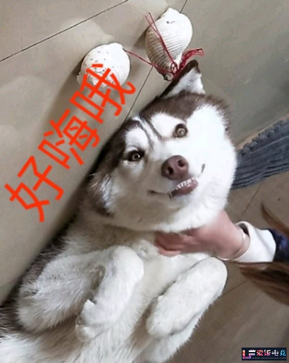 OhUJ6tNX3TTn9o0O.jpg