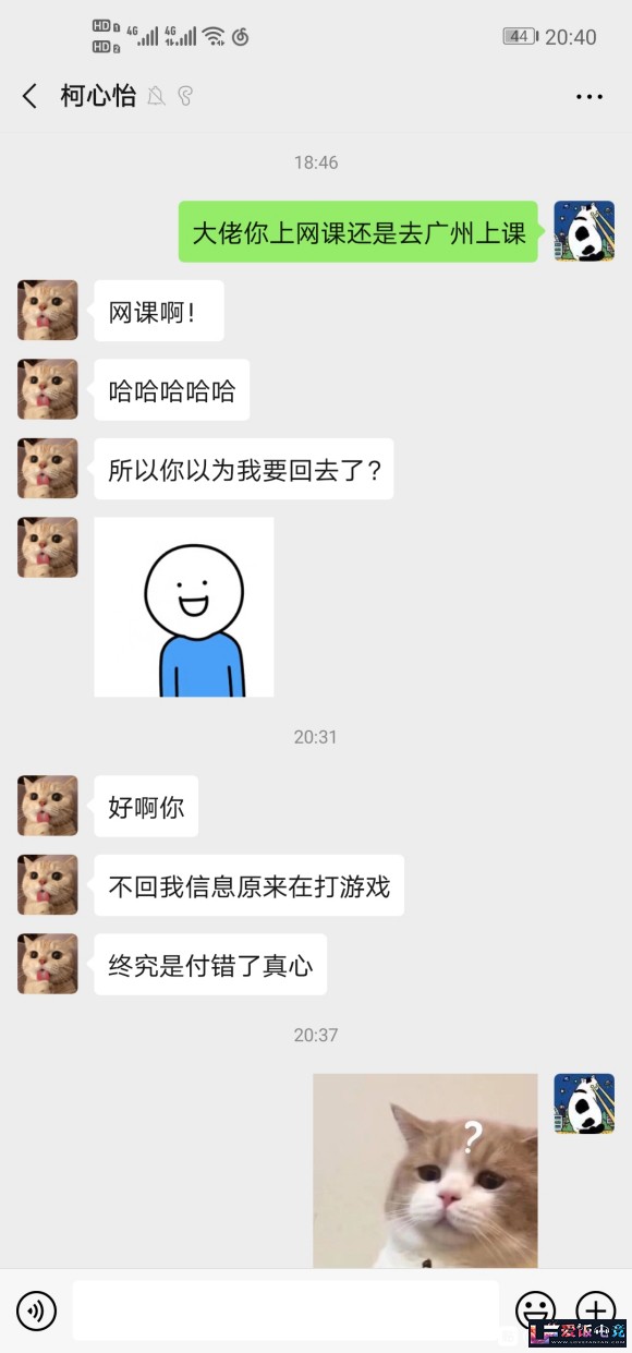 SA1I18ZD6A1SvggS.jpg