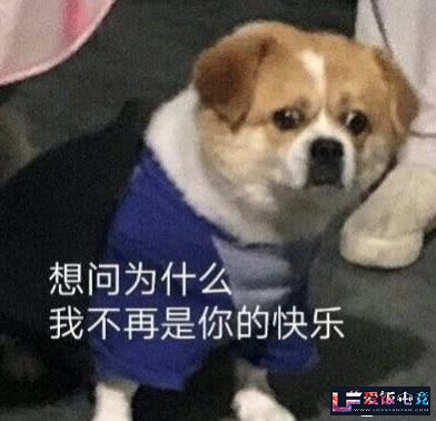 K1O6sp9h3P2M1F16.jpg