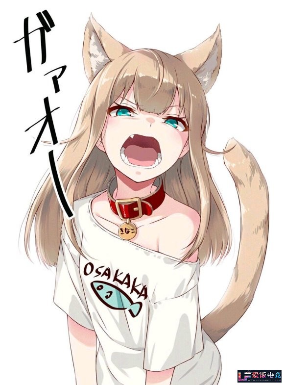 Ygf1Z5Or8f2iG8Rf.jpg