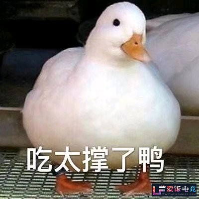 Ty6S7I2Ld2fssvT5.jpg