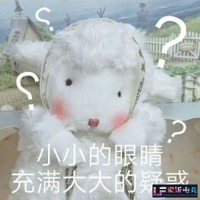 cQE5qyC1M63Lxx6x.jpg