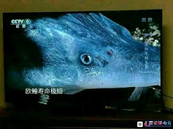 njafeZQ3a0k0E3RR.jpg