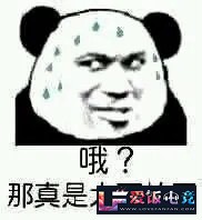 DaIuiu1FP2gVo5QU.jpg