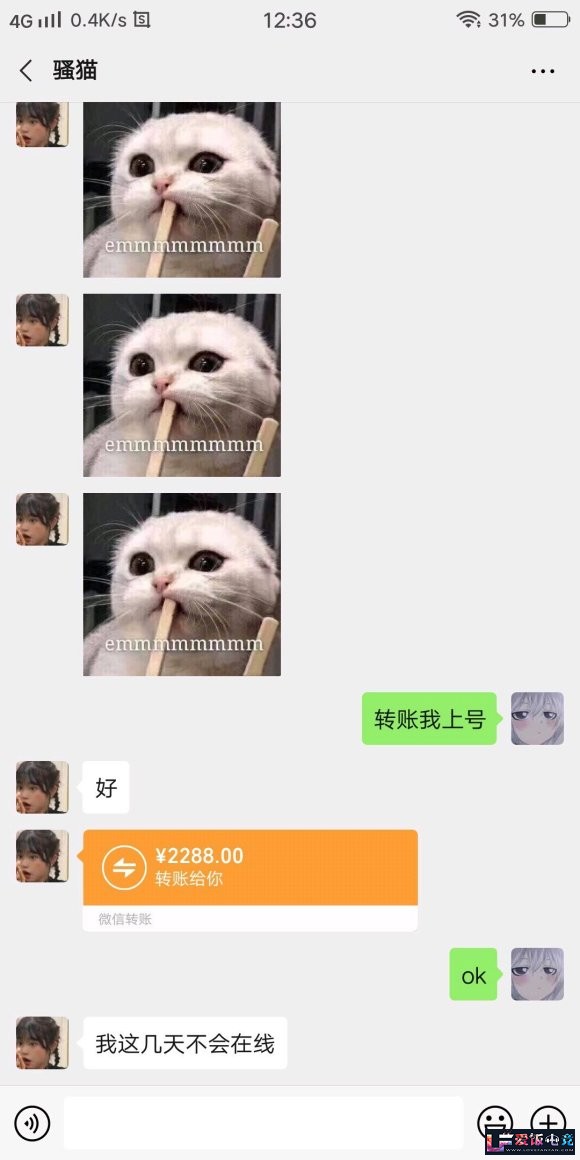 nW1WVW311vn5Xm93.jpg