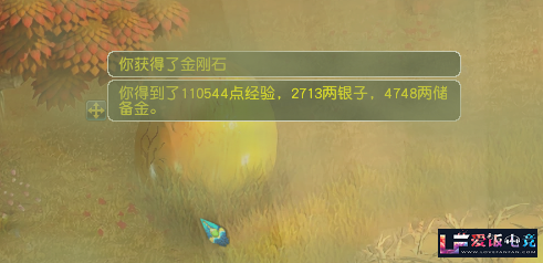 srr59r494iGpP89S.jpg