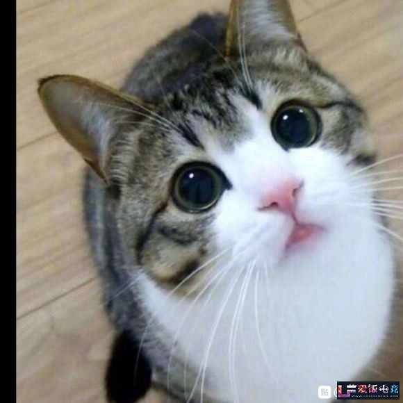 q6wGw6WfKcFG5qwf.jpg