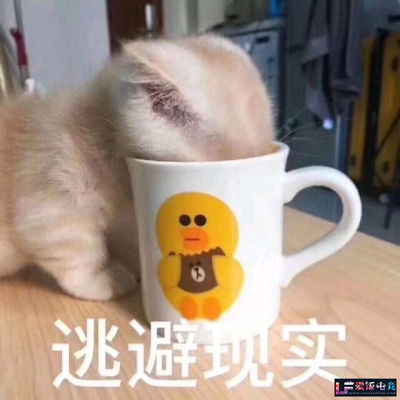 W2Y1dVycZ5jy2M14.jpg