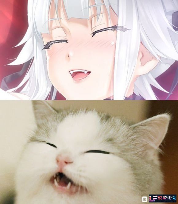 R3W4b4fr1JTPeC3C.jpg