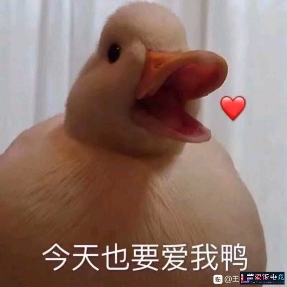 EVGwoQvoce7J678e.jpg