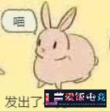 fFfQmWc9p6WF6vv9.jpg