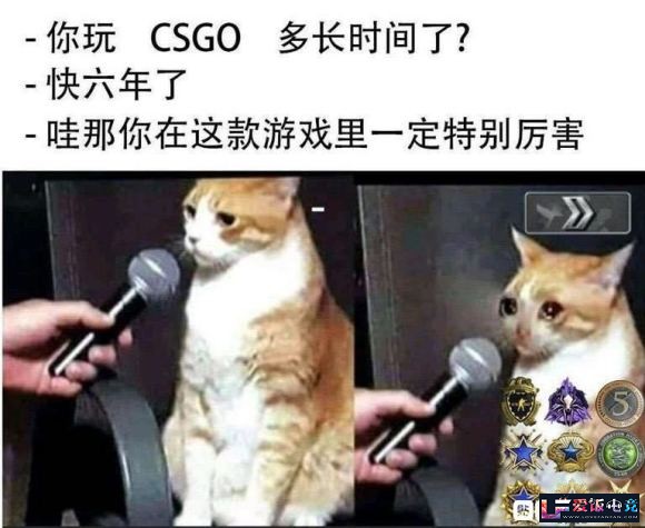 LN2kR39eeh2dGn7G.jpg