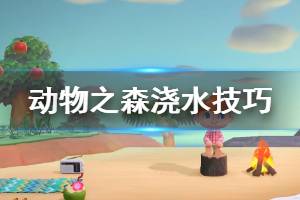 《集合啦动物森友会》浇水有什么技巧？浇水技巧答疑