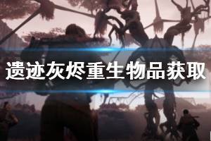 《遗迹灰烬重生》迷宫塔怎么获得 dlc物品获取方法介绍