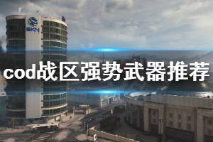 《使命召唤16战区》强势武器推荐 什么武器好