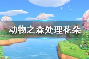 《集合啦动物森友会》花太多怎么办 花太多处理方法介绍