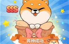 《家居改造王》牛排套餐怎么做