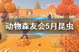 《集合啦动物森友会》5月昆虫收购价格介绍 5月昆虫出现地点说明 ...