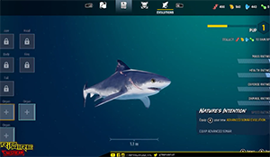 鲨鱼模拟《食人鲨》实机演示 海洋猎手，无情噬人夺命