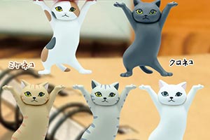 扭腰摆臀超可爱！抬棺材版的「猫咪公仔」姿态魔性！
