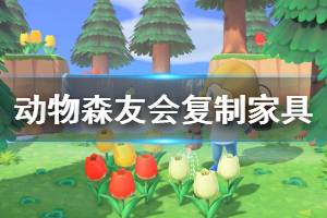 《集合啦动物森友会》怎么复制家具 复制家具方法一览
