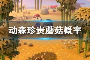 《集合啦动物森友会》珍贵蘑菇出现概率是多少 各类蘑菇出现概率介绍 ...