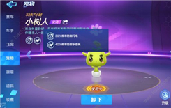 《跑跑卡丁车》手游免疫水苍蝇和防御水苍蝇有什么不同