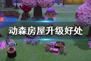 《集合啦动物森友会》房子升级有什么用 房屋升级好处介绍